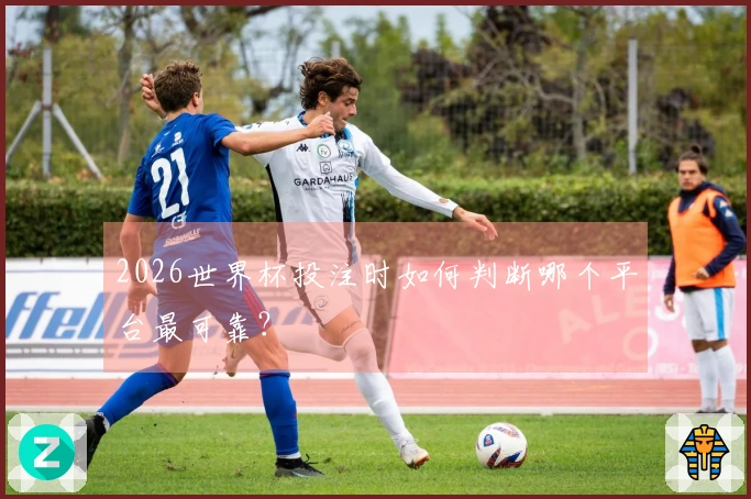2026世界杯投注时如何判断哪个平台最可靠?
