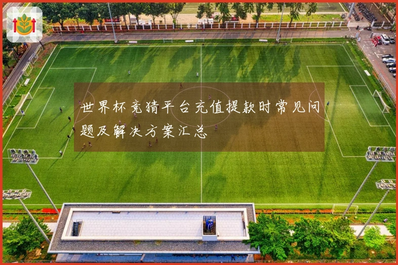 世界杯竞猜平台充值提款时常见问题及解决方案汇总